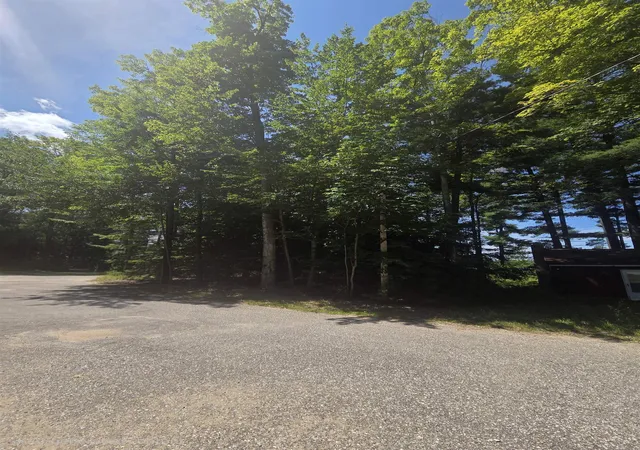 5th image of 457 Ne Lake Dr, Kalkaska, MI 49646 | MLS# 78080072605