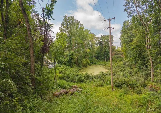 3rd image of 6000 Mcintire Ct, Tipton, MI 49287 | MLS# 56050219296
