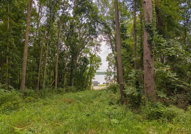 4th image of 6000 Mcintire Ct, Tipton, MI 49287 | MLS# 56050219296
