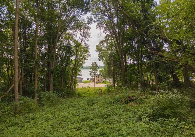 5th image of 6000 Mcintire Ct, Tipton, MI 49287 | MLS# 56050219296