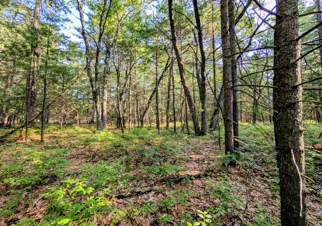 14th image of N/a Huron Breeze Dr, Sims Township Arenac, MI 48703 | MLS# 77080072646