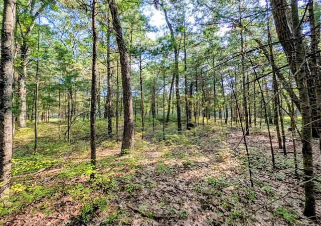 1st image of N/a Huron Breeze Dr, Sims Township Arenac, MI 48703 | MLS# 77080072646