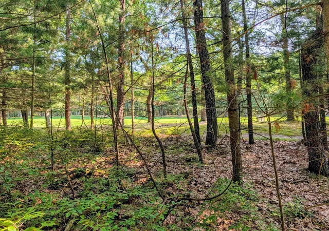 3rd image of N/A Huron Breeze Dr, Sims Township Arenac, MI 48703 | MLS# 77080072646