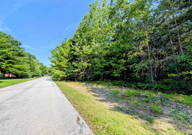 5th image of N/A Huron Breeze Dr, Sims Township Arenac, MI 48703 | MLS# 77080072646
