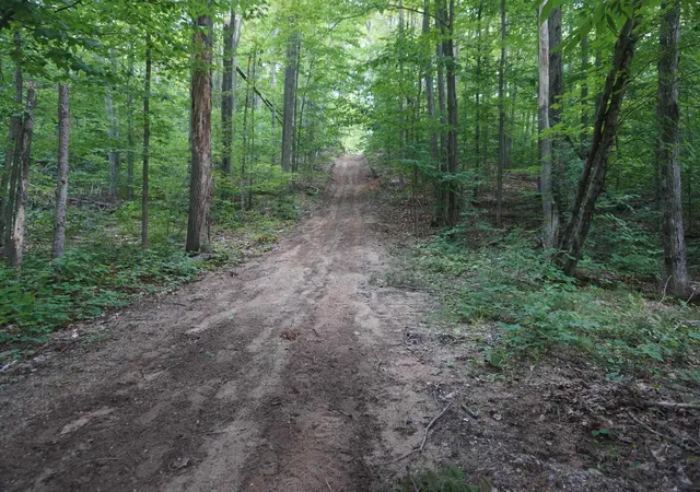 2nd image of 13992 Merrill Ave, Blue Lake Township Kalkaska, MI 49646 | MLS# 77080072671