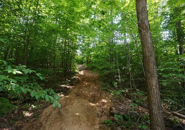 5th image of 13992 Merrill Ave, Blue Lake Township Kalkaska, MI 49646 | MLS# 77080072671