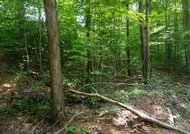 6th image of 13992 Merrill Ave, Blue Lake Township Kalkaska, MI 49646 | MLS# 77080072671