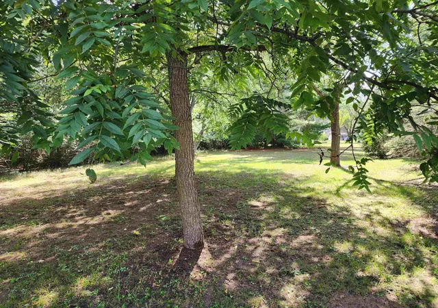 Photo 3 of Single family home for sale at 3560 Pine Tree, Sherman Township Isabella, MI 48893 | MLS# 79080072674 | Listing updated on 2026-09-17