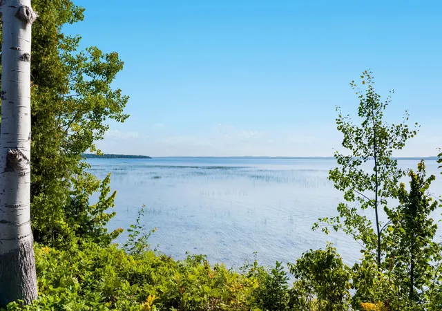 Photo 2 of Land for sale at 4800 S West Bay Shore Dr, Bingham Township Leelanau, MI 49682 | MLS# 77080072677 | Listing updated on 2026-09-06