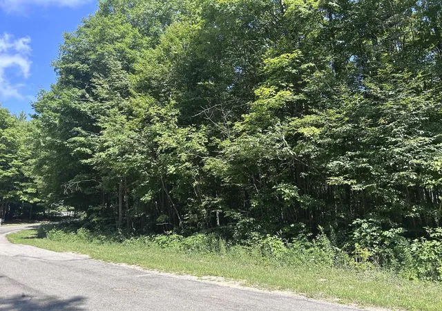 1st image of 0 Antioch Dr, Antioch Township Wexford, MI 49668 | MLS# 78080072681