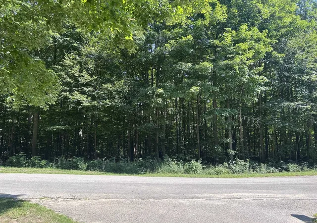 4th image of 0 Antioch Dr, Antioch Township Wexford, MI 49668 | MLS# 78080072681