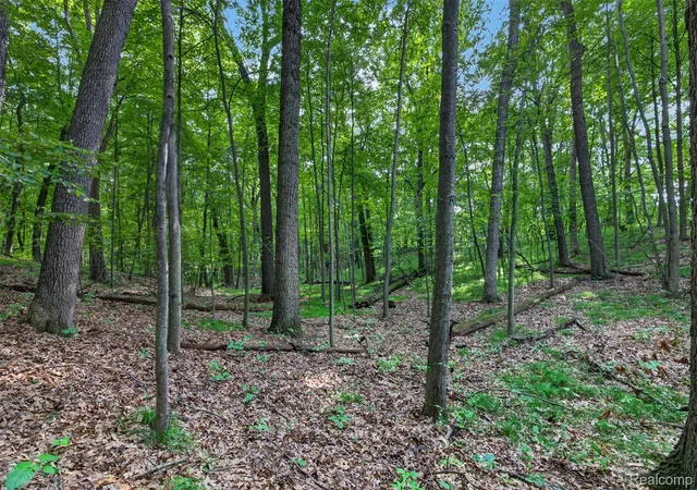 2nd image of Vacant Faust Dr, Brandon Charter Township Oakland, MI 48462 | MLS# 20261067192