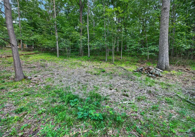 Photo 3 of Land for sale at Vacant Faust Dr, Brandon Charter Township Oakland, MI 48462 | MLS# 20261067192 | Listing updated on 2026-08-27