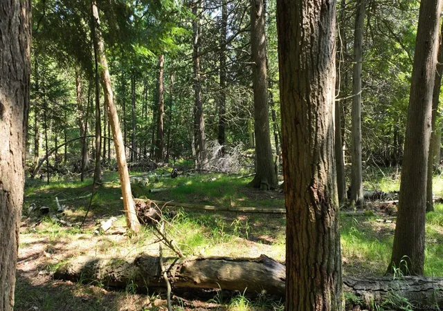 7th image of 0 Franklin Trl, Deep River Township Arenac, MI 48659 | MLS# 58050219474