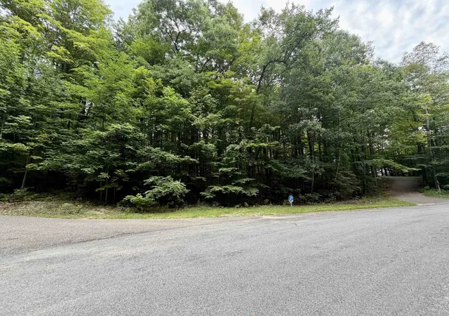 2nd image of 0000 Wasservalden, Custer Township Antrim, MI 49615 | MLS# 78080072690