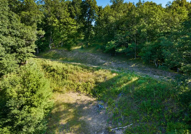 3rd image of 000 Woodsmere Rd, Frankfort City Benzie, MI 49617 | MLS# 78080072691