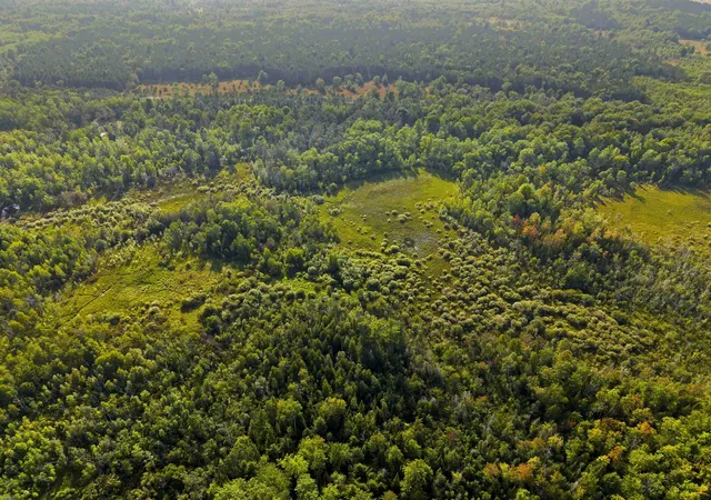 3rd image of 3288 Ne Wheeler Lake Rd, Kalkaska Township Kalkaska, MI 49646 | MLS# 78080072699