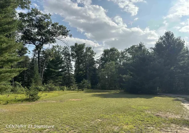5th image of 234 W Elder Bch, Summerfield Township Clare, MI 48625 | MLS# 61050219500