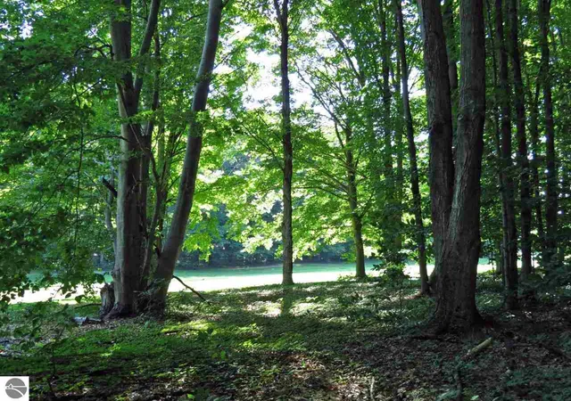 1st image of 000 Unit 2 Mountain Woods Ct, Weldon Township Benzie, MI 49683 | MLS# 78080072705
