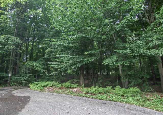 5th image of 000-Unit 2 Mountain Woods Ct, Weldon Township Benzie, MI 49683 | MLS# 78080072705