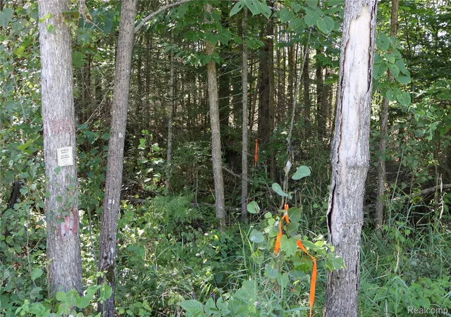 Photo 4 of Land for sale at 34606 S South Maxton Cross Road, Drummond Township Chippewa, MI 49726 | MLS# 20261067376 | Listing updated on 2026-08-28