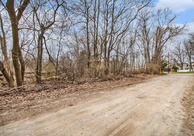 Photo 4 of Land for sale at 0000 Dickert St, Commerce Charter Township Oakland, MI 48382 | MLS# 20261067400 | Listing updated on 2026-08-23