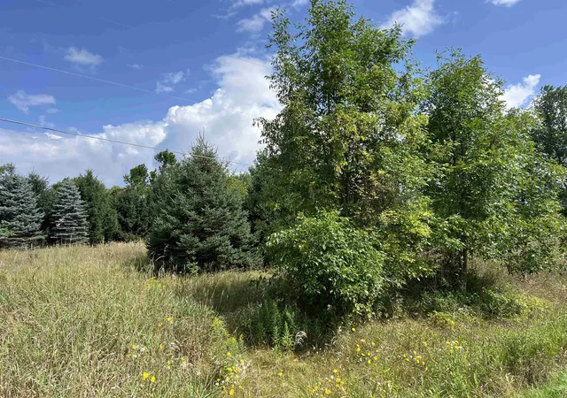 5th image of E River Rd, Union Charter Township Isabella, MI 48858 | MLS# 79080072724