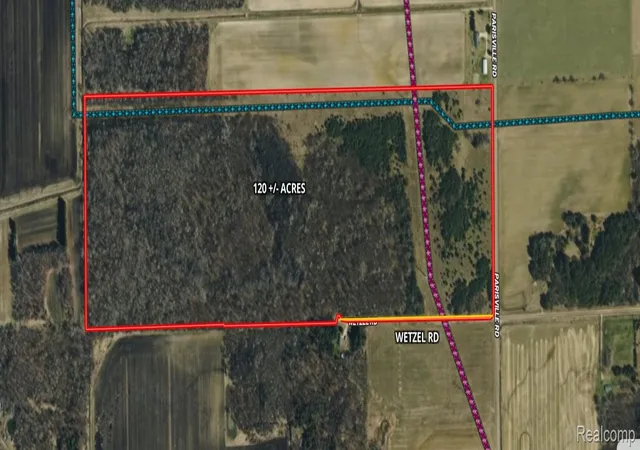 2nd image of 000 Parisville Rd, Minden Township Sanilac, MI 48456 | MLS# 20261067467