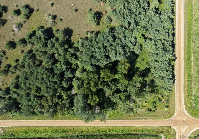 21st image of 000 Parisville Rd, Minden Township Sanilac, MI 48456 | MLS# 20261067467