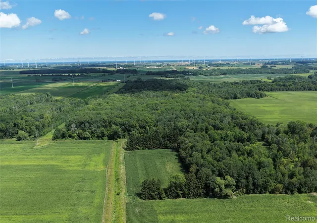 3rd image of 000 Parisville Rd, Minden Township Sanilac, MI 48456 | MLS# 20261067467