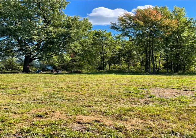 Land for sale at 126 Homestead Ln, ImlayTownship_Lapeer, MI 48444 | MLS# 20261067615