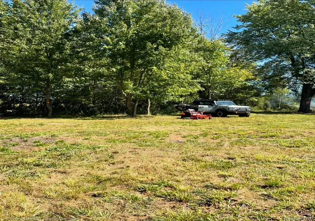 Photo 3 of Land for sale at 126 Homestead Ln, Imlay Township Lapeer, MI 48444 | MLS# 20261067615 | Listing updated on 2026-08-29