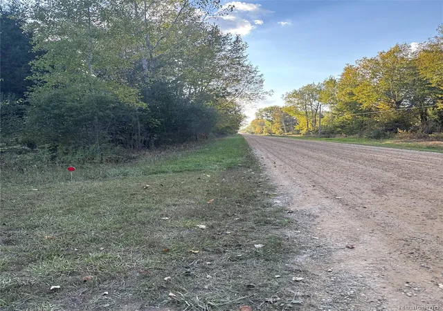 22nd image of 2901 Lyle Rd, Tobacco Township Gladwin, MI 48612 | MLS# 20261067759