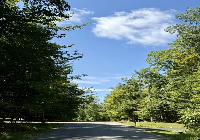 Photo 2 of Land for sale at 00 Shawnee Trl, Torch Lake Township Antrim, MI 49648 | MLS# 78080072764 | Listing updated on 2026-08-27