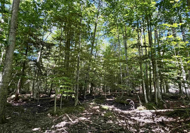 Photo 3 of Land for sale at 00 Shawnee Trl, Torch Lake Township Antrim, MI 49648 | MLS# 78080072764 | Listing updated on 2026-08-27