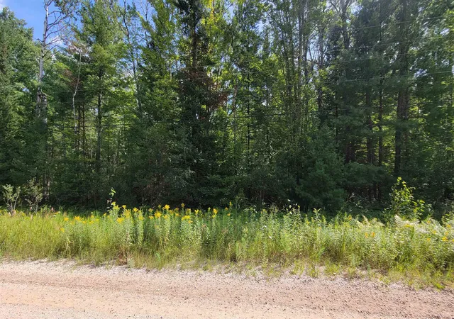Photo 2 of Land for sale at 15097 Avenue D, Nunda Township Cheboygan, MI 49799 | MLS# 77080072778 | Listing updated on 2026-08-27