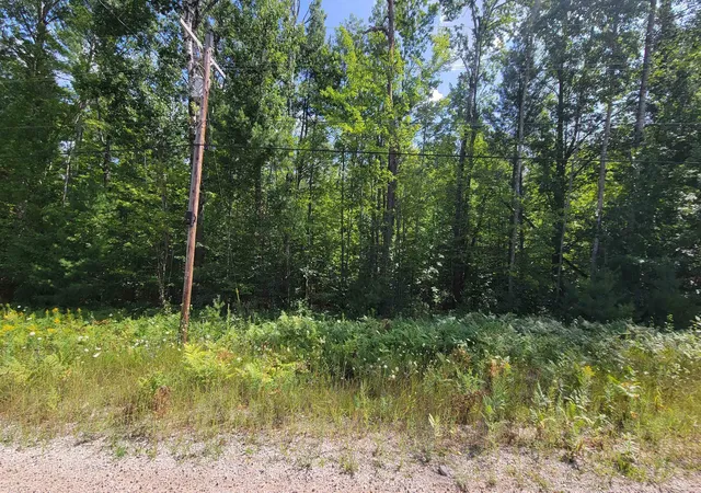 Photo 3 of Land for sale at 15097 Avenue D, Nunda Township Cheboygan, MI 49799 | MLS# 77080072778 | Listing updated on 2026-08-27