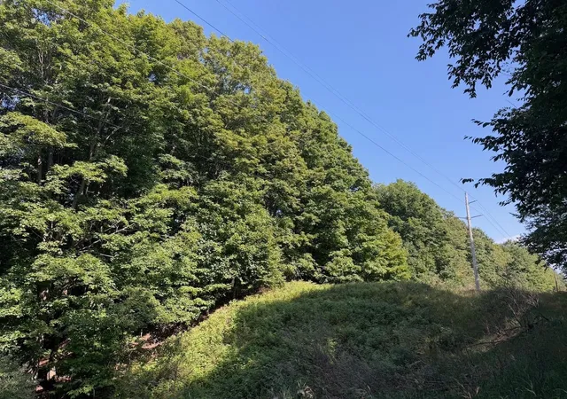 1st image of Unit 14 Ranch Dr, Kearney Township Antrim, MI 49615 | MLS# 78080072782
