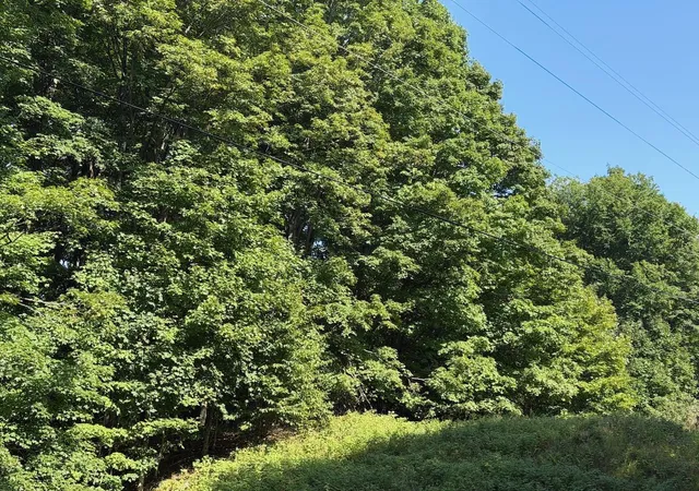 5th image of Unit 14 Ranch Dr, Kearney Township Antrim, MI 49615 | MLS# 78080072782