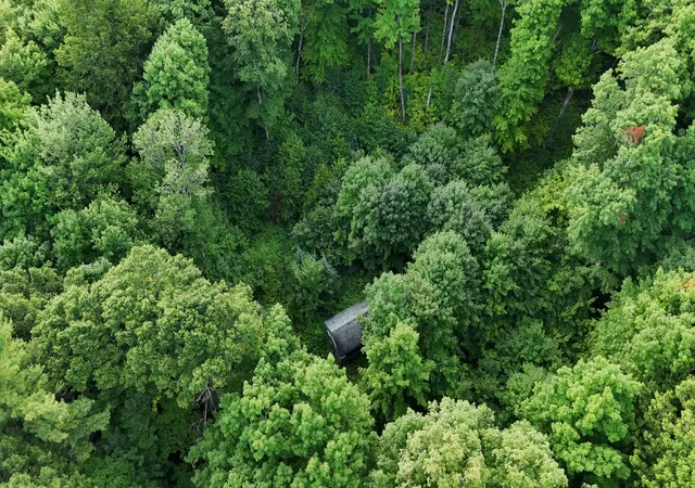 1st image of Vl Perrin Brothers Trail, Forsyth Township Marquette, MI 49841 | MLS# 81026044797