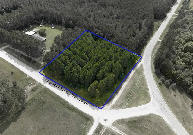 1st image of 0000 Nw Dundas Rd, Clearwater Township Kalkaska, MI 49612 | MLS# 78080072785