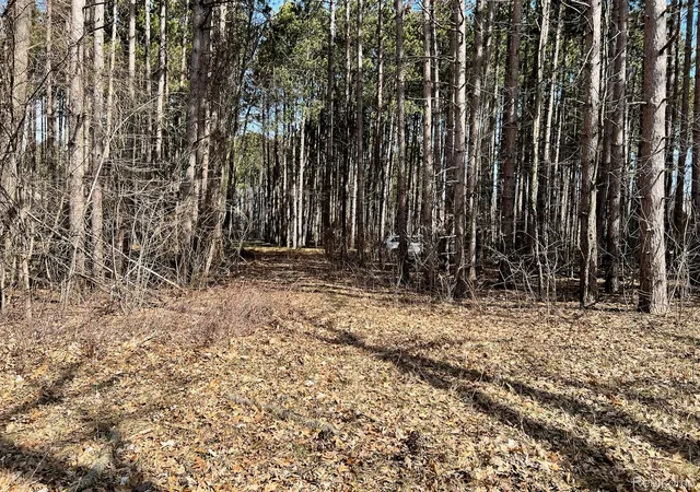 Land for sale at 9047 Pineview River Dr, ArgentineTownship_Genesee, MI 48451 | MLS# 20261067975