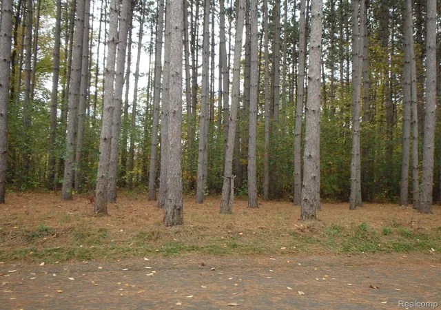 Photo 1 of Land for sale at 9047 Pineview River Dr, Argentine Township Genesee, MI 48451 | MLS# 20261067975 | Listing updated on 2026-08-31