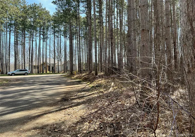 Photo 3 of Land for sale at 9047 Pineview River Dr, Argentine Township Genesee, MI 48451 | MLS# 20261067975 | Listing updated on 2026-08-31
