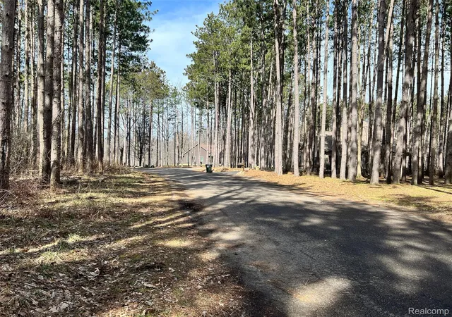 Photo 4 of Land for sale at 9047 Pineview River Dr, Argentine Township Genesee, MI 48451 | MLS# 20261067975 | Listing updated on 2026-08-31