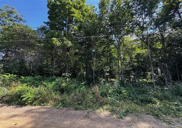 Land for sale at 12195 Softwater Lake Dr, ArgentineTownship_Genesee, MI 48451 | MLS# 20261068124