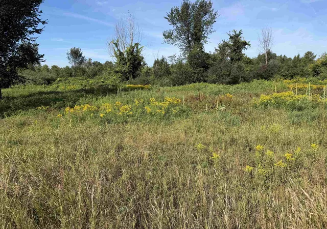 3rd image of C S M-88, Kearney Township Antrim, MI 49615 | MLS# 78080072813