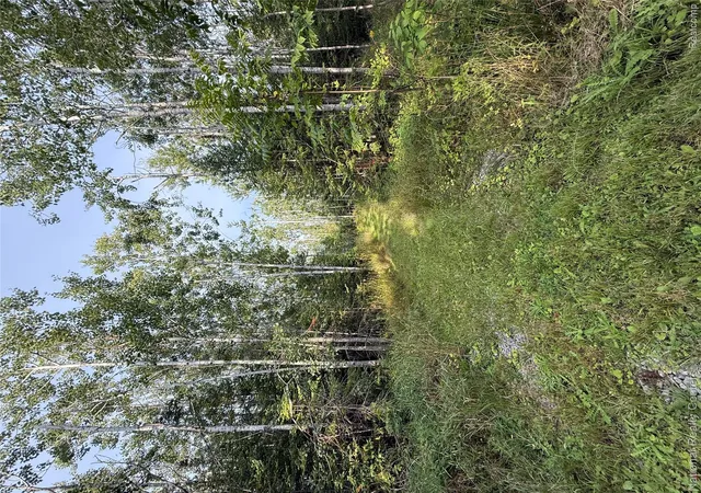 Photo 3 of Single family home for sale at 8018 Mielke Rd, Belknap Township Presque Isle, MI 49743 | MLS# 20261068244 | Listing updated on 2026-09-22