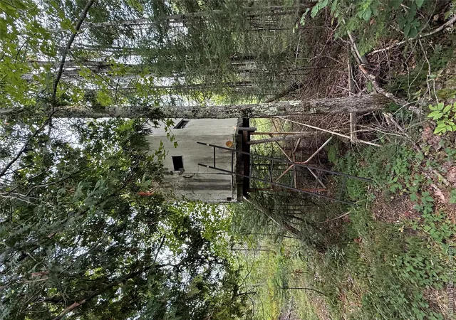 Photo 4 of Single family home for sale at 8018 Mielke Rd, Belknap Township Presque Isle, MI 49743 | MLS# 20261068244 | Listing updated on 2026-09-22