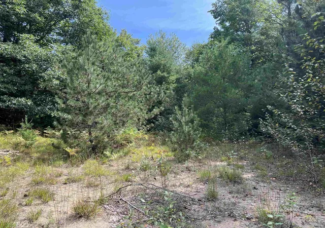 Photo 2 of Land for sale at 0 Cedar Lake Rd, Greenbush Township Alcona, MI 48738 | MLS# 77080072853 | Listing updated on 2026-08-29